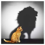 Maxbell 2 Set Cat Tiger Lion DIY 5D Diamond Painting Embroidery Cross Stitch Kit