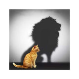 Maxbell 2 Set Cat Tiger Lion DIY 5D Diamond Painting Embroidery Cross Stitch Kit