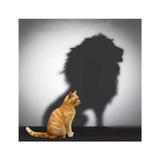 Maxbell 2 Set Cat Tiger Lion DIY 5D Diamond Painting Embroidery Cross Stitch Kit