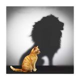 Maxbell 2 Set Cat Tiger Lion DIY 5D Diamond Painting Embroidery Cross Stitch Kit