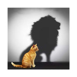 Maxbell 2 Set Cat Tiger Lion DIY 5D Diamond Painting Embroidery Cross Stitch Kit