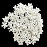 Maxbell 100Pcs White 2 Holes Snowflake Wooden Buttons for DIY Sewing Accessories - Aladdin Shoppers