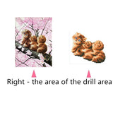 Maxbell 5D DIY Diamond Painting Cute Three Cat  with Cross Stitch Kit for Home Decor