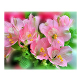 Maxbell Pink Flower 5D Diamond Painting Embroidery DIY Paint By Number Kit Home Wall Decoration 36x30cm - Aladdin Shoppers