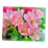 Maxbell Pink Flower 5D Diamond Painting Embroidery DIY Paint By Number Kit Home Wall Decoration 36x30cm - Aladdin Shoppers