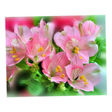 Maxbell Pink Flower 5D Diamond Painting Embroidery DIY Paint By Number Kit Home Wall Decoration 36x30cm - Aladdin Shoppers