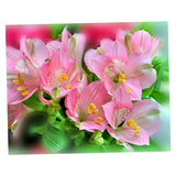 Maxbell Pink Flower 5D Diamond Painting Embroidery DIY Paint By Number Kit Home Wall Decoration 36x30cm - Aladdin Shoppers
