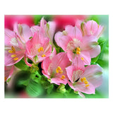 Maxbell Pink Flower 5D Diamond Painting Embroidery DIY Paint By Number Kit Home Wall Decoration 36x30cm - Aladdin Shoppers