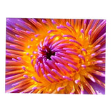 Maxbell Full Drill Flower DIY Diamond Painting Embroidery Cross Stitch Kit Home Decoration 40x30cm - Aladdin Shoppers