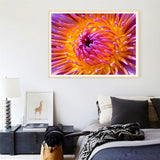 Maxbell Full Drill Flower DIY Diamond Painting Embroidery Cross Stitch Kit Home Decoration 40x30cm - Aladdin Shoppers
