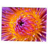 Maxbell Full Drill Flower DIY Diamond Painting Embroidery Cross Stitch Kit Home Decoration 40x30cm - Aladdin Shoppers