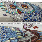 Maxbell Owl Special Shaped Diamond Painting for Kids Children Cross Craft Stitch Kit Home Decor - Aladdin Shoppers