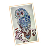 Maxbell Owl Special Shaped Diamond Painting for Kids Children Cross Craft Stitch Kit Home Decor - Aladdin Shoppers