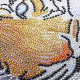 Maxbell Special Shaped Diamond Painting DIY 5D Cross Stitch Kits Arts Craft - Tiger Pattern - Aladdin Shoppers