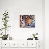 Maxbell Special Shaped Diamond Painting DIY 5D Cross Stitch Kits Arts Craft - Tiger Pattern - Aladdin Shoppers