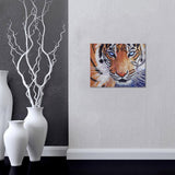 Maxbell Special Shaped Diamond Painting DIY 5D Cross Stitch Kits Arts Craft - Tiger Pattern - Aladdin Shoppers