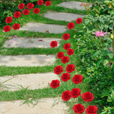 Maxbell 2Pcs Rose Garden Stakes Decor Realistic Yard Stakes for Porch Path Backyards Red