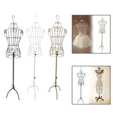 Maxbell Female Wire Mannequin Torso Upper Body Dress Form for Store Women Seamstress Black