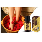 Maxbell Maxbell 5 Bottles 10ml Natural Organic Aromatherapy Massage Essential Oils Ginger