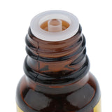 Maxbell Maxbell 5 Bottles 10ml Natural Organic Aromatherapy Massage Essential Oils Ginger