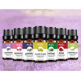 Maxbell Maxbell 10ml Natural Plant Extract Massage Essential Oils Aromatherapy Lavender