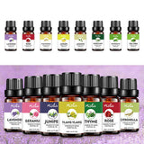 Maxbell Maxbell 10ml Natural Plant Extract Massage Essential Oils Aromatherapy Lavender
