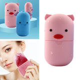 Maxbell 2 Pieces Facial Ice Roller Reusable Freezable for Contours & Lifts The Skin