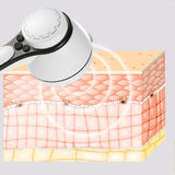 Maxbell Body Sculptor Portable Easy to Carry Stomach Massager for Legs Arms Buttocks