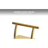 Maxbell 2xSalon Hair Chair Foot Rest Replacement for Tattoo Shop Styling Chair Shampoo Gold