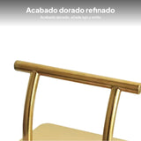 Maxbell 2xSalon Hair Chair Foot Rest Replacement for Tattoo Shop Styling Chair Shampoo Gold