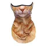 Maxbell Neck Gaiter Cat Design Summer Face Mask with Ear Loops for Skiing Daily Wear brown