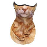 Maxbell Neck Gaiter Cat Design Summer Face Mask with Ear Loops for Skiing Daily Wear brown