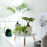 Maxbell Key Holder Creative Desk Organizer Storage Tray for Desk Dining Room Hallway white