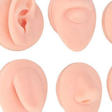 Maxbell Silicone Body Piercing Model Display Human Skin Parts for Training Beginners Light Skin