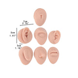 Maxbell Silicone Body Piercing Model Display Human Skin Parts for Training Beginners Universal Skin