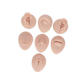 Maxbell Silicone Body Piercing Model Display Human Skin Parts for Training Beginners Universal Skin