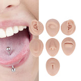 Maxbell Silicone Body Piercing Model Display Human Skin Parts for Training Beginners Universal Skin