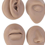 Maxbell Silicone Body Piercing Model Display Human Skin Parts for Training Beginners Tan Skin