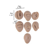 Maxbell Silicone Body Piercing Model Display Human Skin Parts for Training Beginners Tan Skin