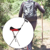 Maxbell Cane with Seat Walking Rest Portable Travel Lightweight for Sitting Foldable Red