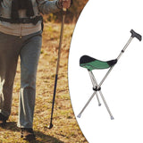 Maxbell Cane with Seat Walking Rest Portable Travel Lightweight for Sitting Foldable Green