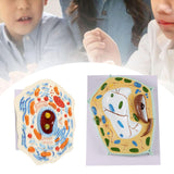 Maxbell Cell Anatomy Model Teaching Birthday Toy Study Classroom Biology Science Kit Animal Cell Model