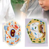Maxbell Cell Anatomy Model Teaching Birthday Toy Study Classroom Biology Science Kit Animal Cell Model