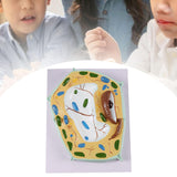 Maxbell Cell Anatomy Model Teaching Birthday Toy Study Classroom Biology Science Kit Plant Cell Model