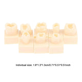 Maxbell 8Pcs Resin Teeth Model Set Educational Use Practice Tools for Teaching Study