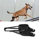 Maxbell Dogs Hind Leg Harness Comfortable Grip Durability Practical Hind Leg Support S