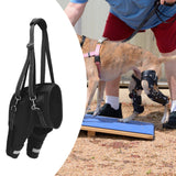 Maxbell Dogs Hind Leg Harness Comfortable Grip Durability Practical Hind Leg Support XL