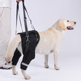 Maxbell Dogs Hind Leg Harness Comfortable Grip Durability Practical Hind Leg Support XL