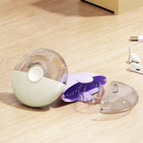 Maxbell Denture Case Small Container Retainer Travel Case for Office Household Women Purple