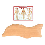 Maxbell Gua Sha Massage Tool Wooden SPA Professional Sturdy Beauty Body Gua Sha Tool